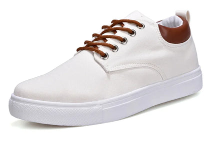 Brand Breathable Male Canvas Sneakers for Men Big Size 46 47 48